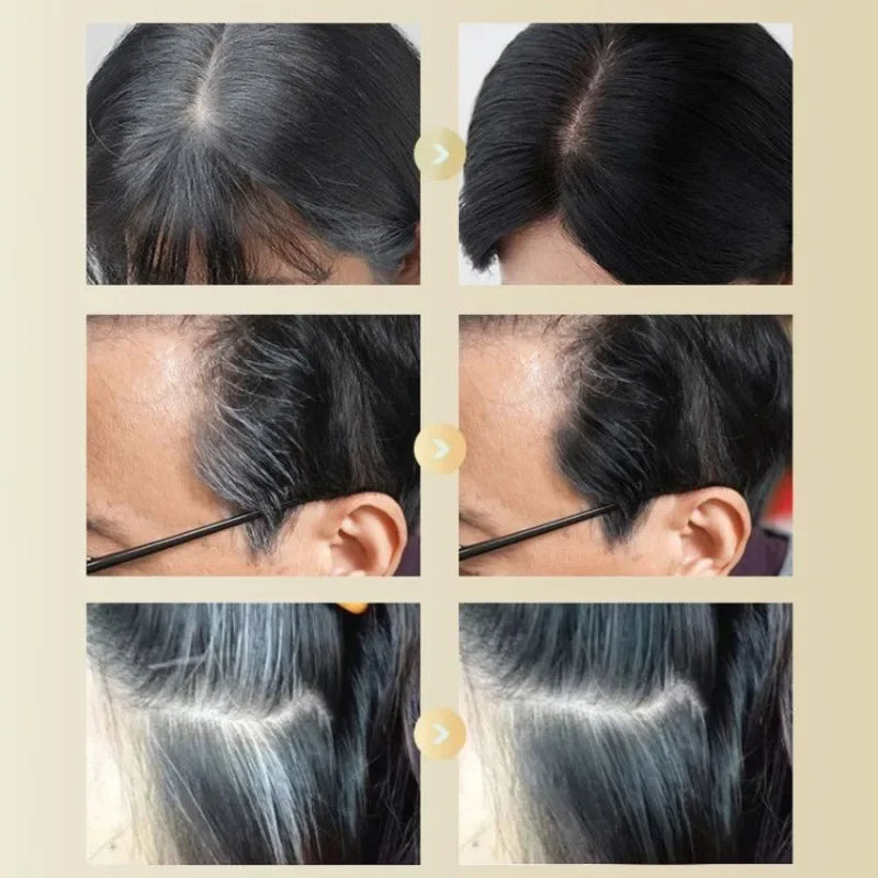3Color Quick Touch-Up Hair